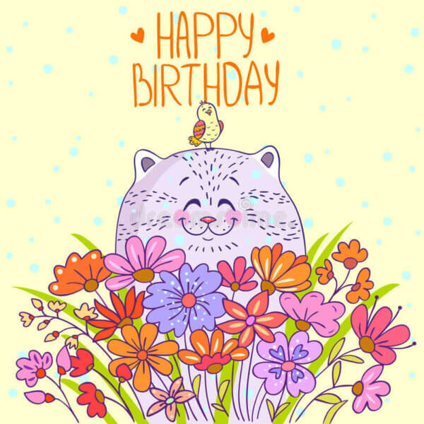 Nugat cat happy birthday