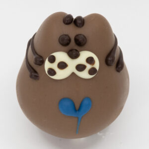 Trühvel Kiisu südamega